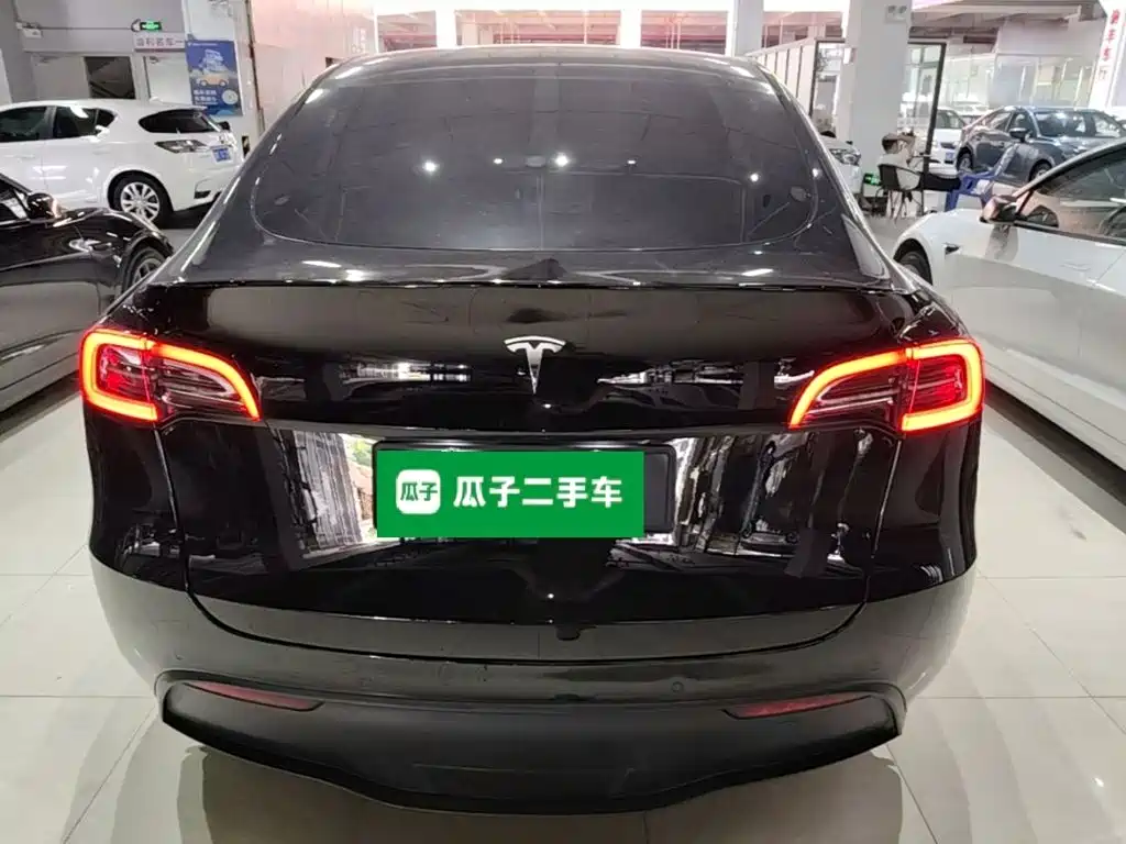 Tesla Model Y — фото 6