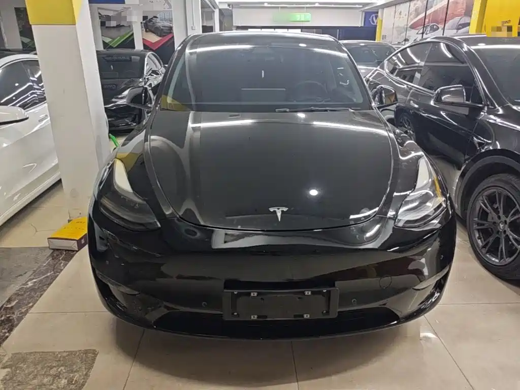 Tesla Model Y — фото 3