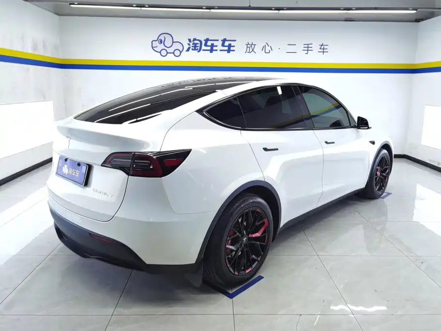 Tesla Model Y — фото 3