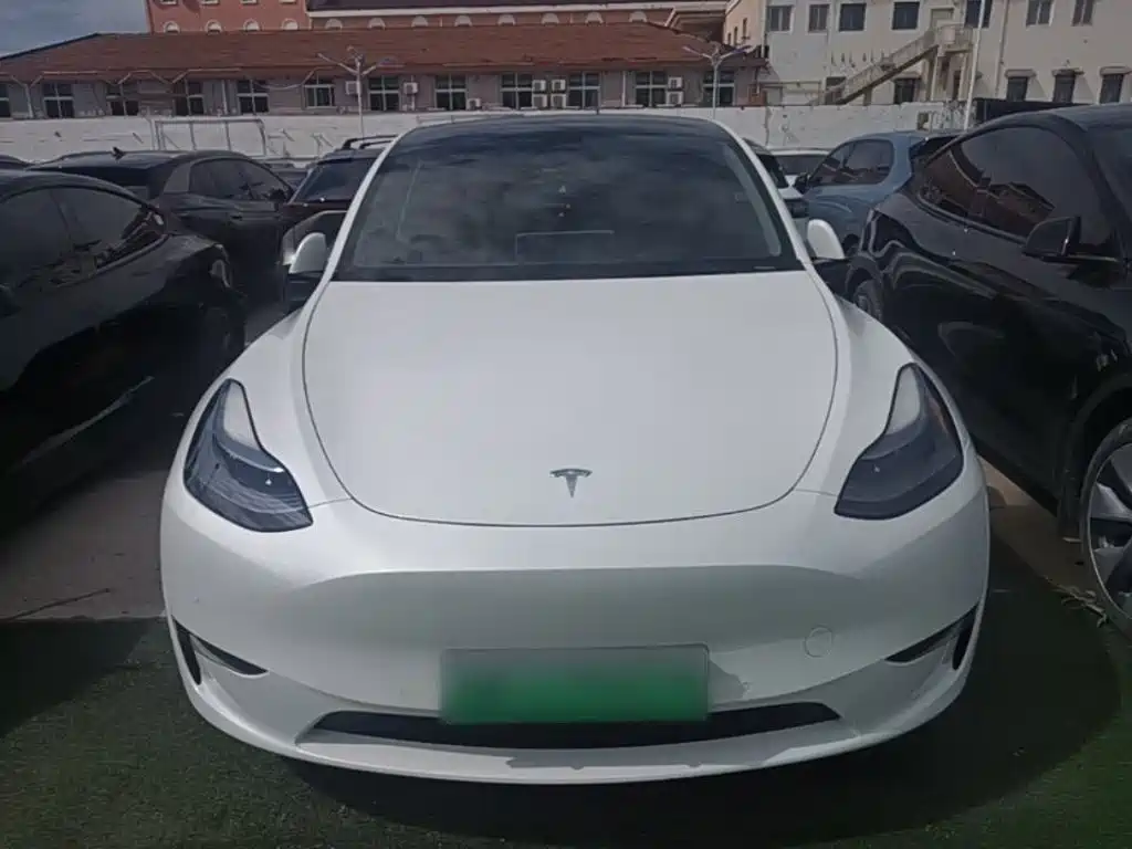 Tesla Model Y — фото 3