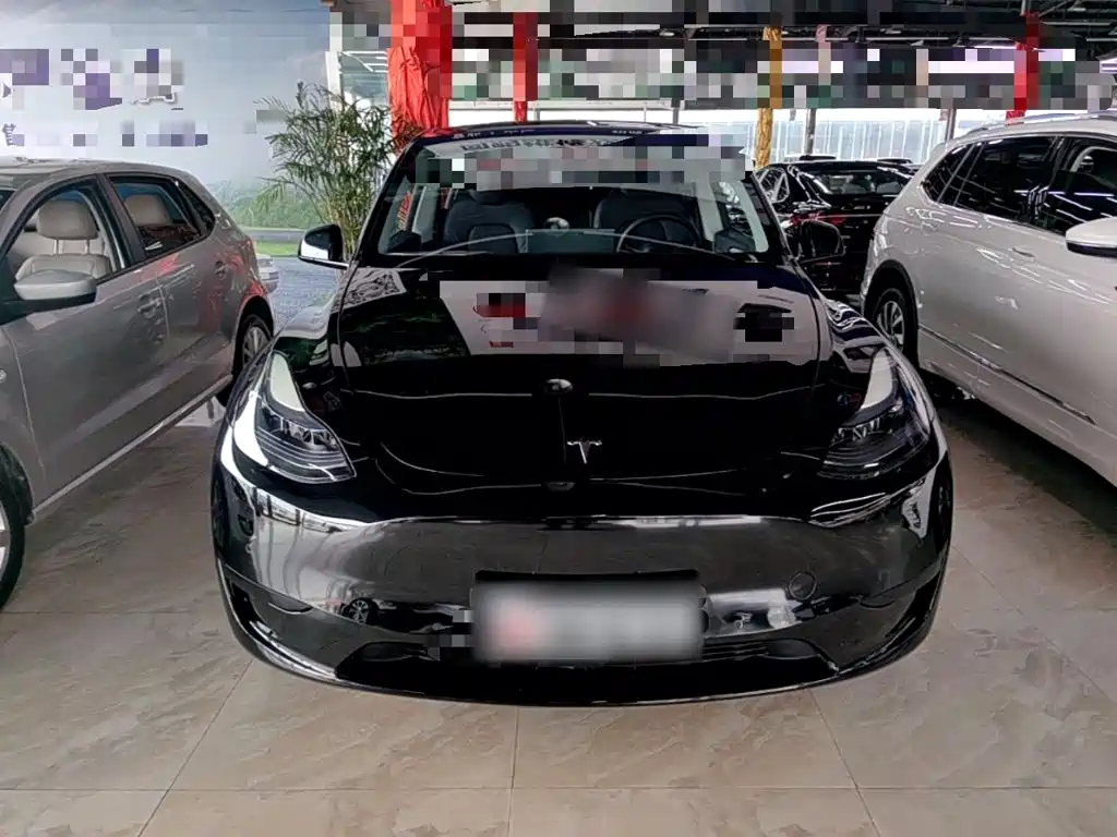 Tesla Model Y — фото 3