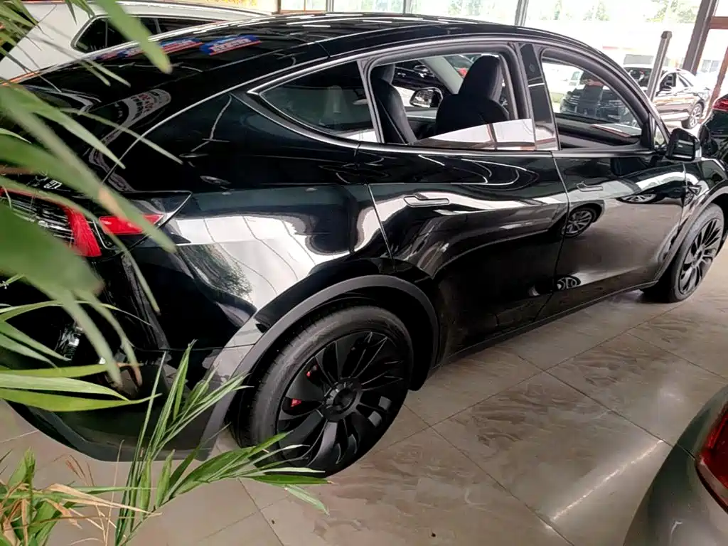 Tesla Model Y — фото 7