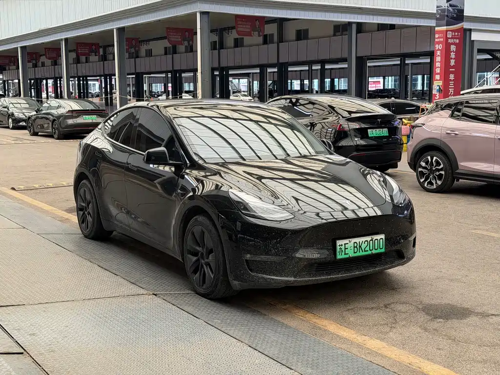 Tesla Model Y — фото 3
