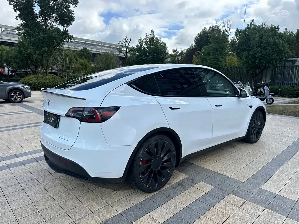 Tesla Model Y — фото 13