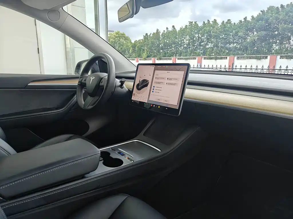 Tesla Model Y — фото 14