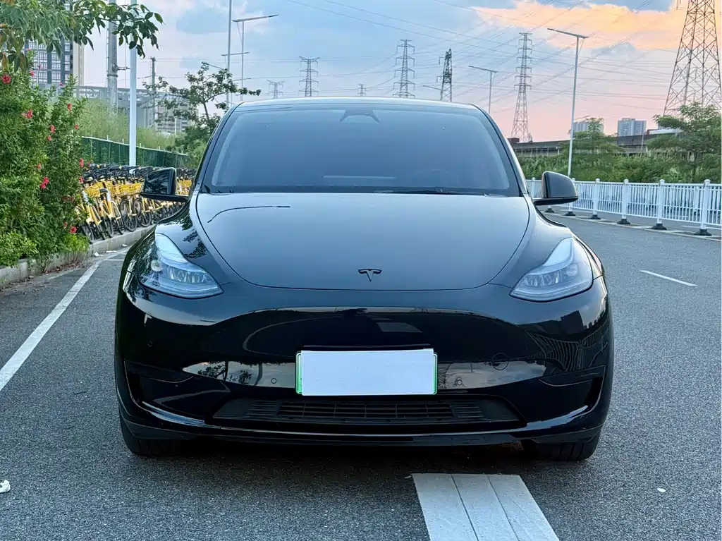 Tesla Model Y — фото 2