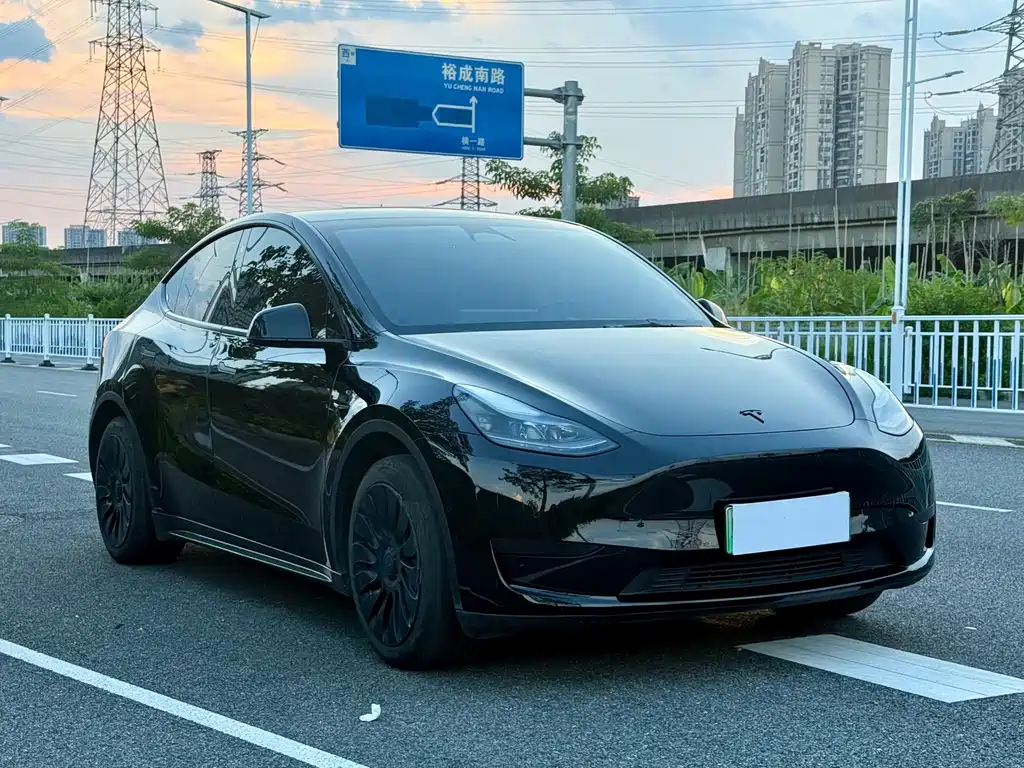 Tesla Model Y — фото 3