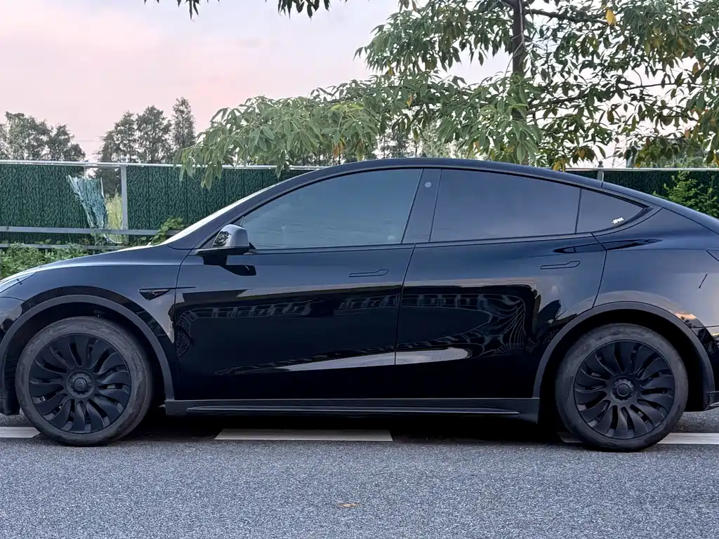 Tesla Model Y — фото 4