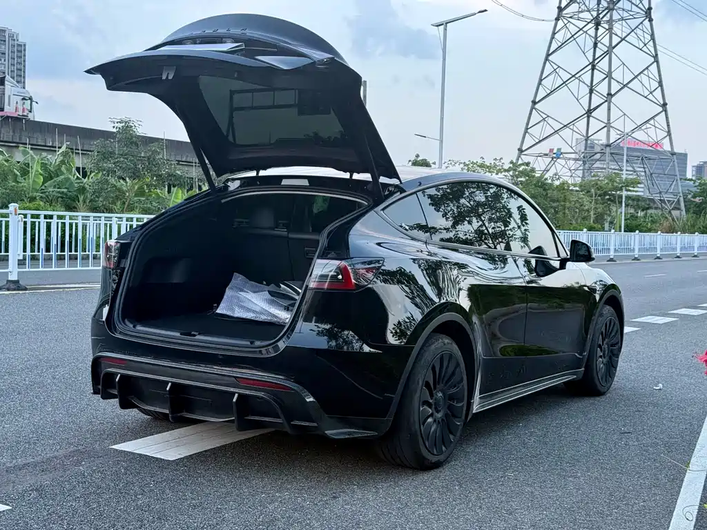 Tesla Model Y — фото 9