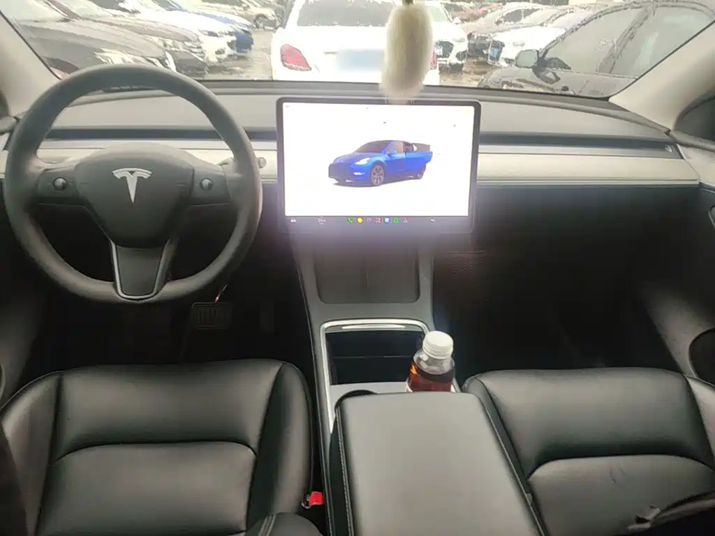 Tesla Model Y — фото 10