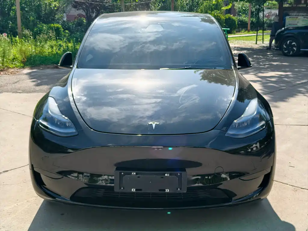 Tesla Model Y — фото 2