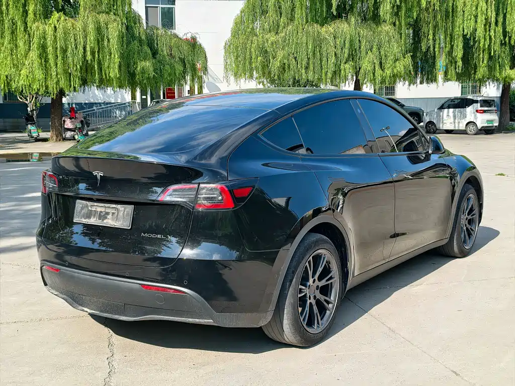 Tesla Model Y — фото 3