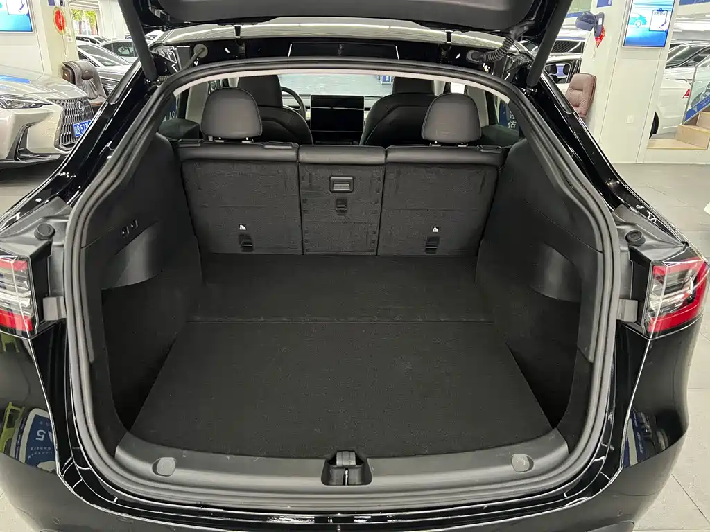 Tesla Model Y — фото 11