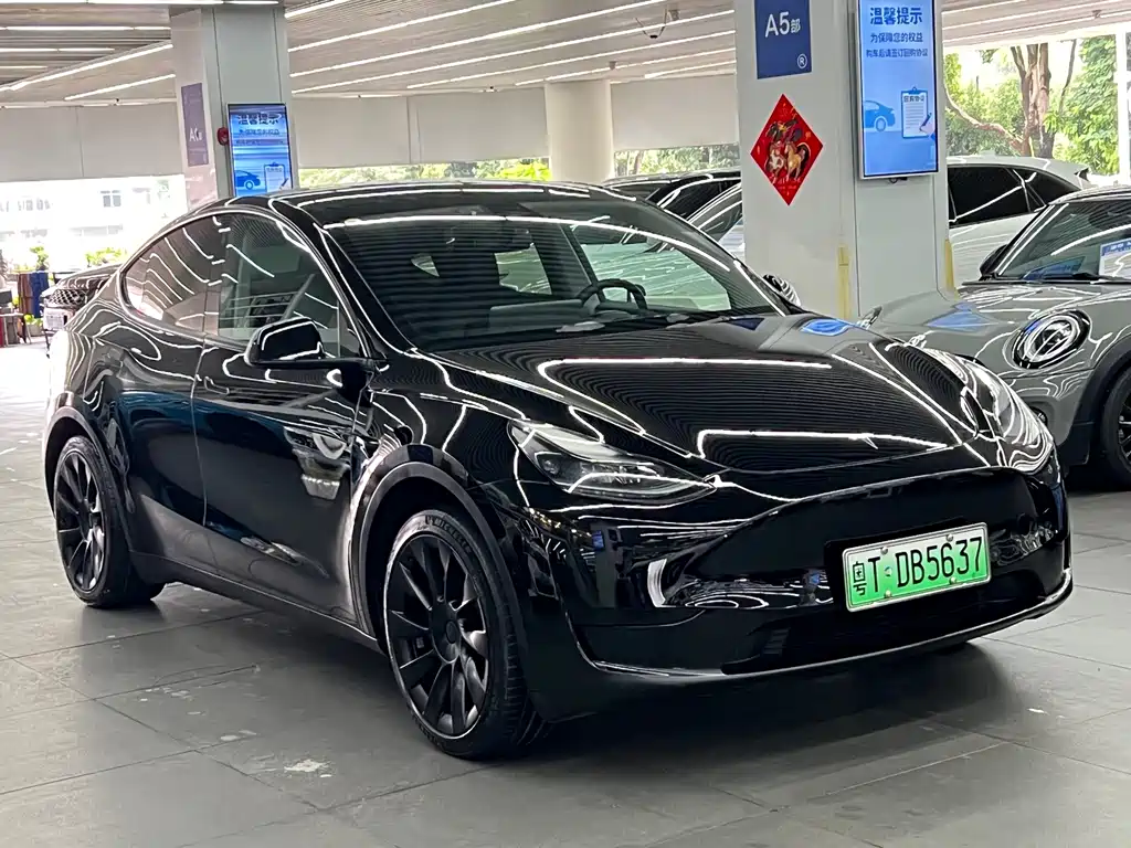 Tesla Model Y — фото 3
