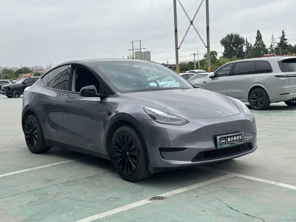 Tesla Model Y — фото 3