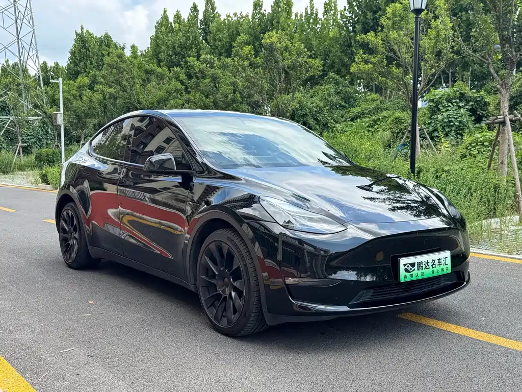 Tesla Model Y — фото 3