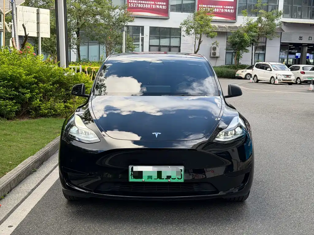 Tesla Model Y — фото 2