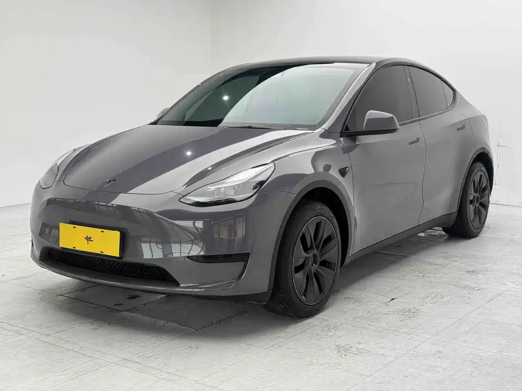Tesla Model Y — фото 6