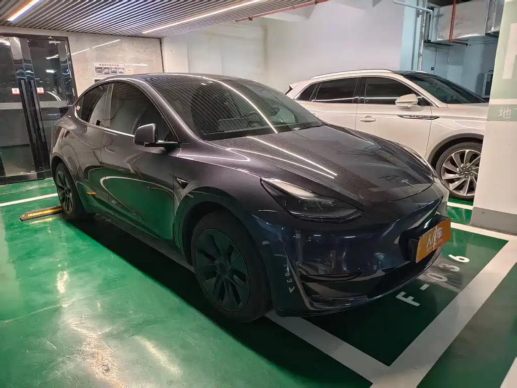 Tesla Model Y — фото 3