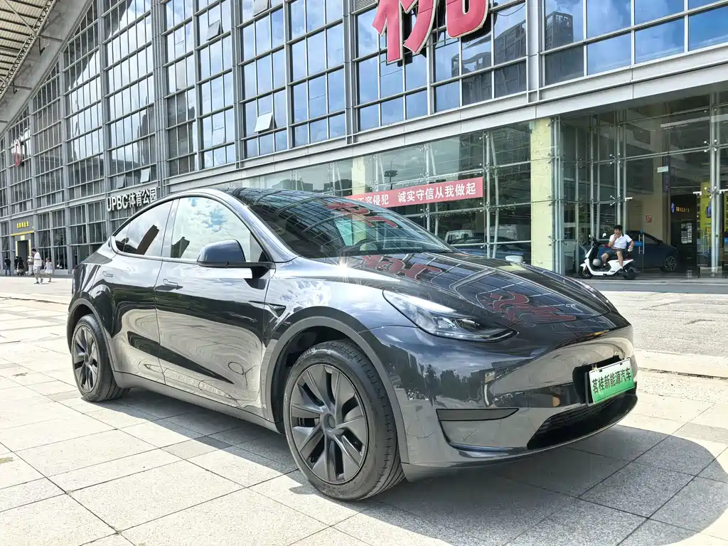 Tesla Model Y — фото 3