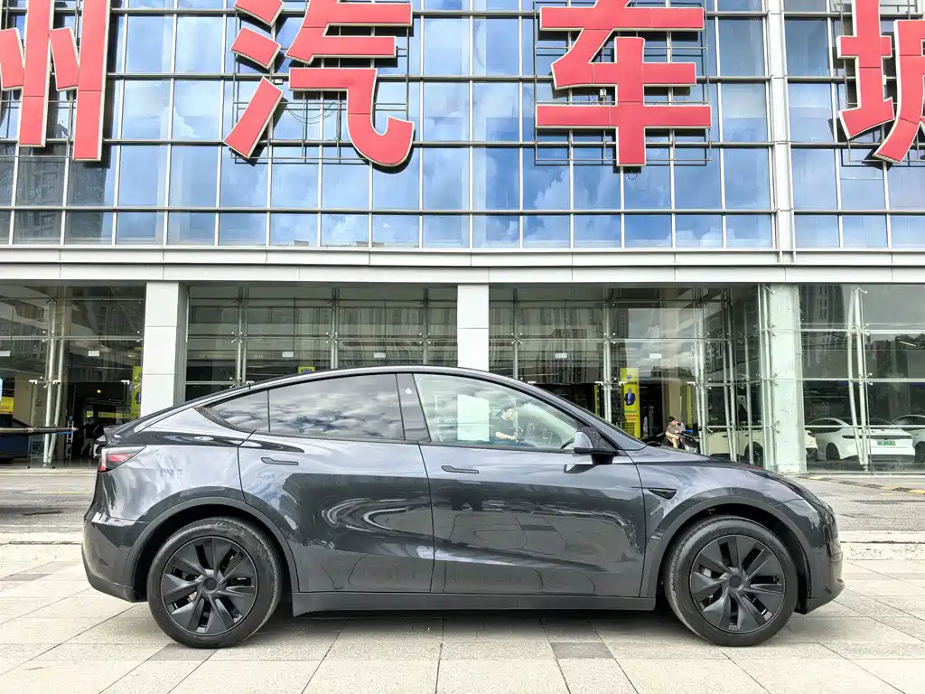 Tesla Model Y — фото 9