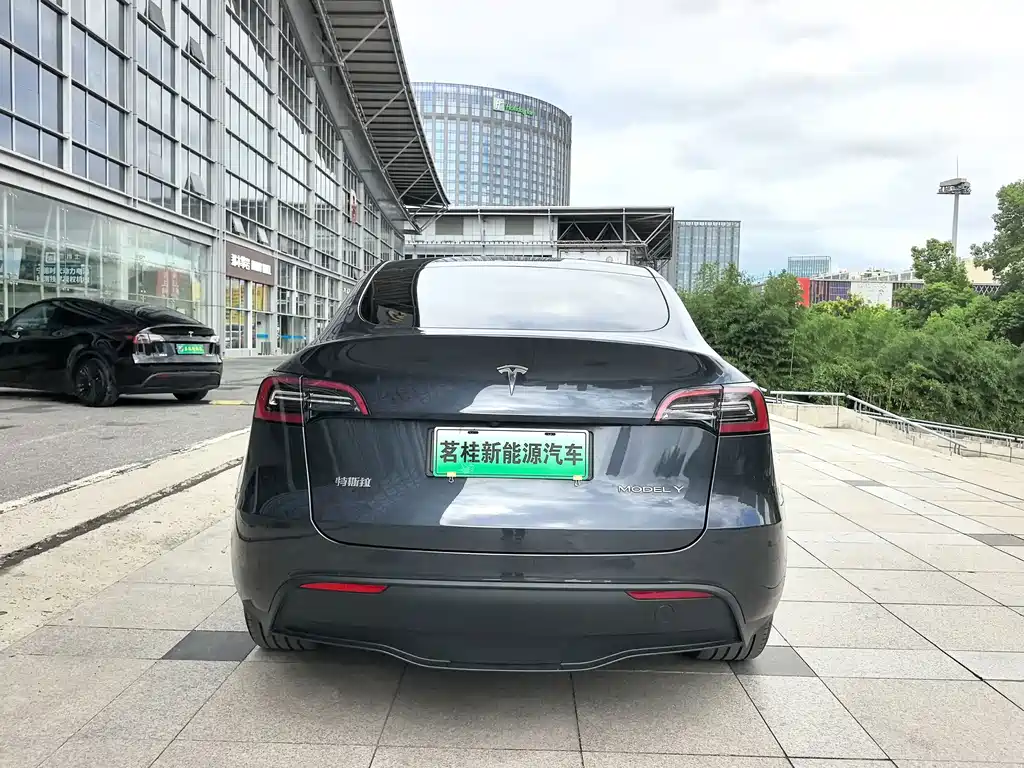 Tesla Model Y — фото 10
