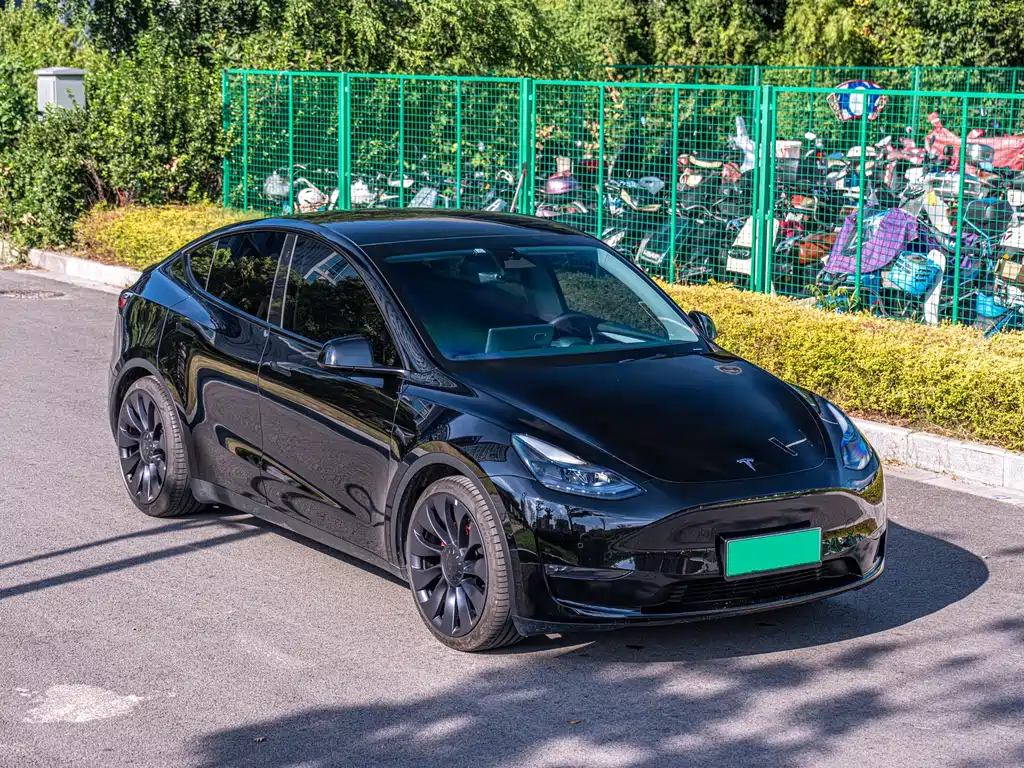 Tesla Model Y — фото 3