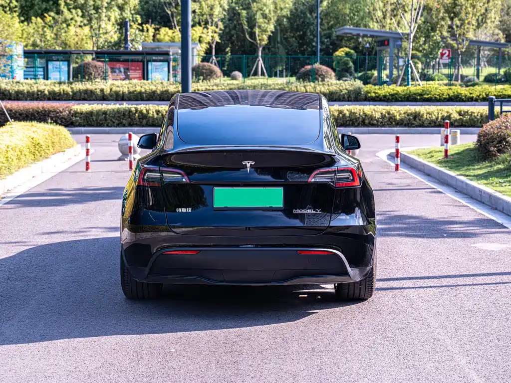 Tesla Model Y — фото 4