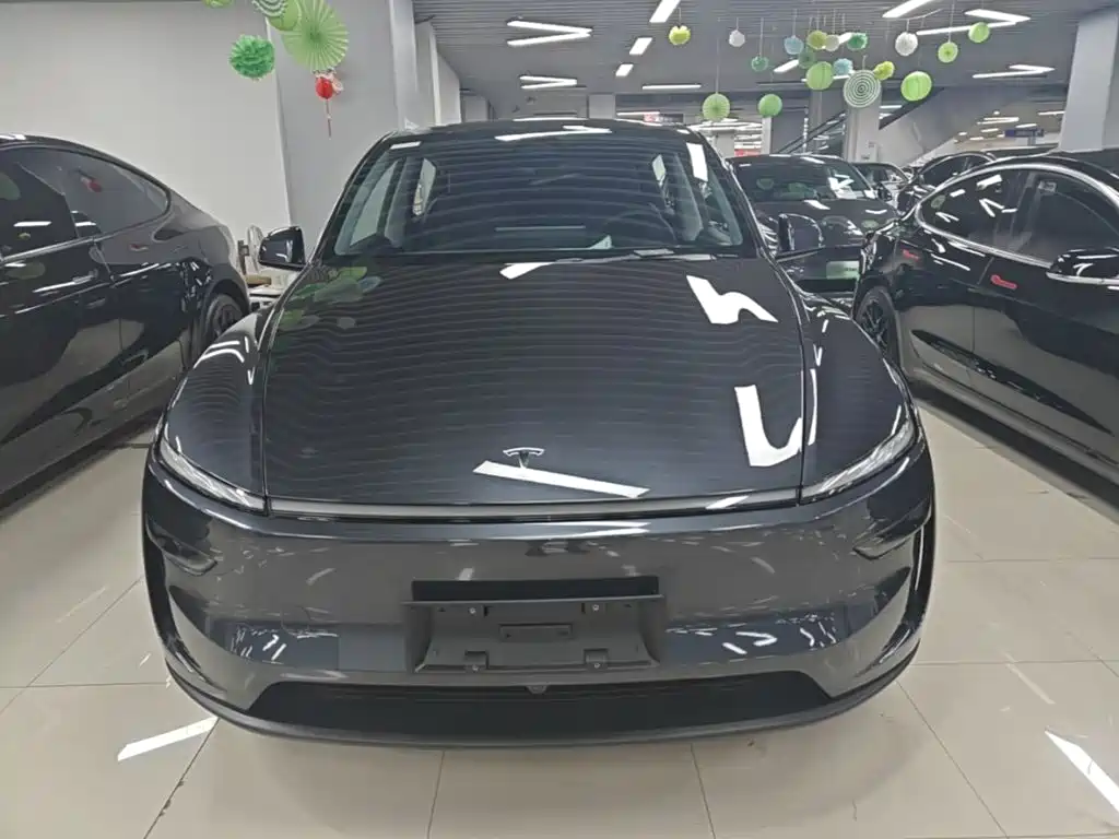 Tesla Model Y — фото 3