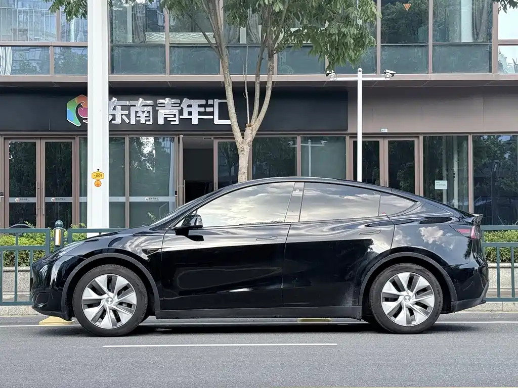Tesla Model Y — фото 3