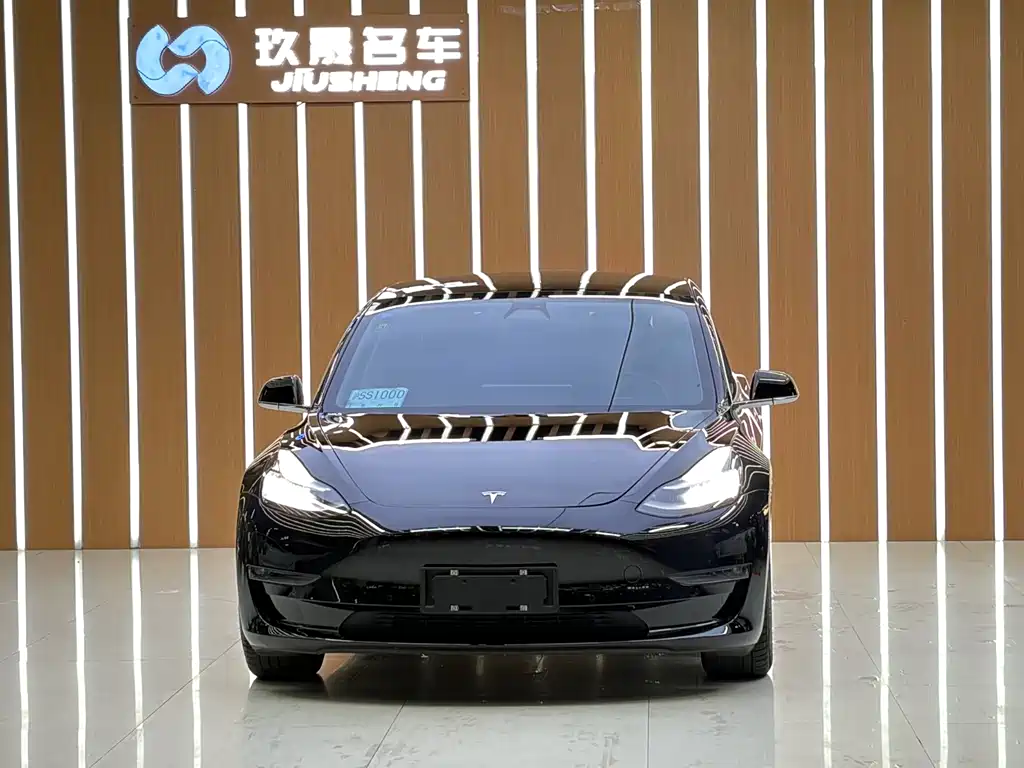 Tesla Model 3 — фото 2