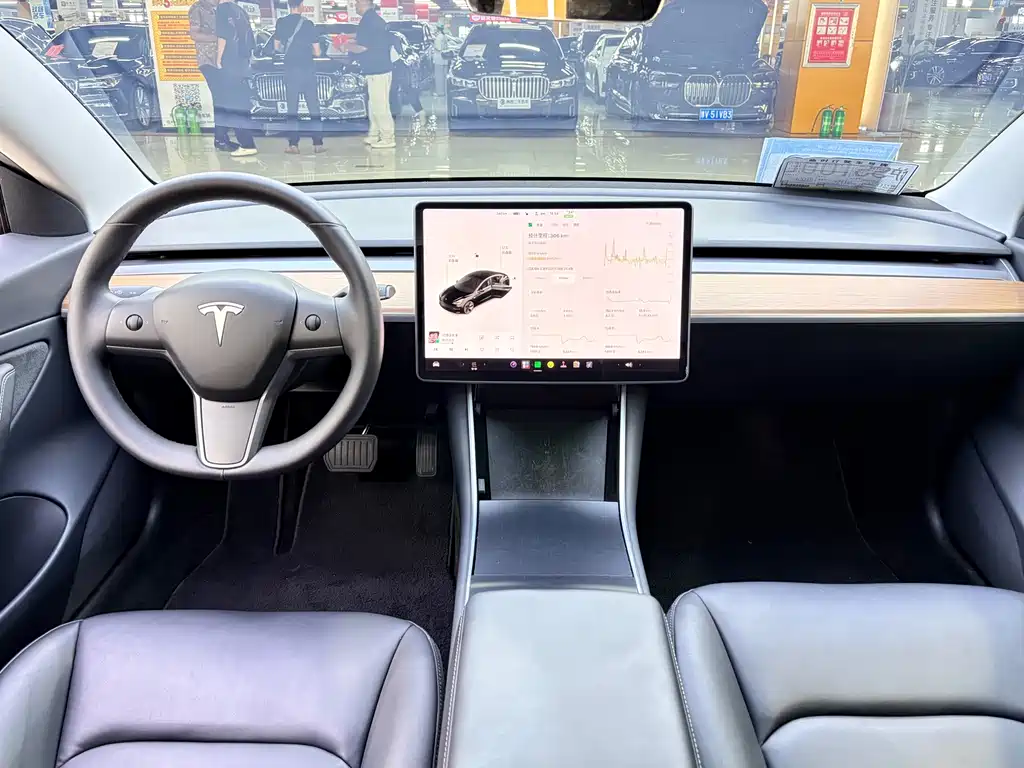 Tesla Model 3 — фото 5