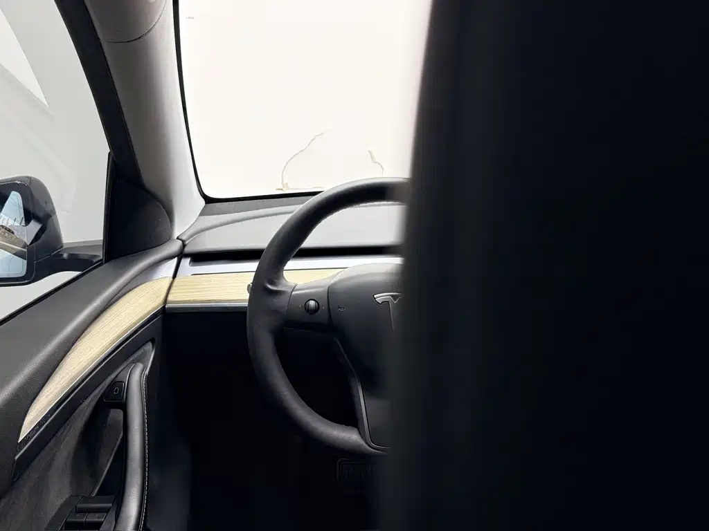 Tesla Model Y — фото 11