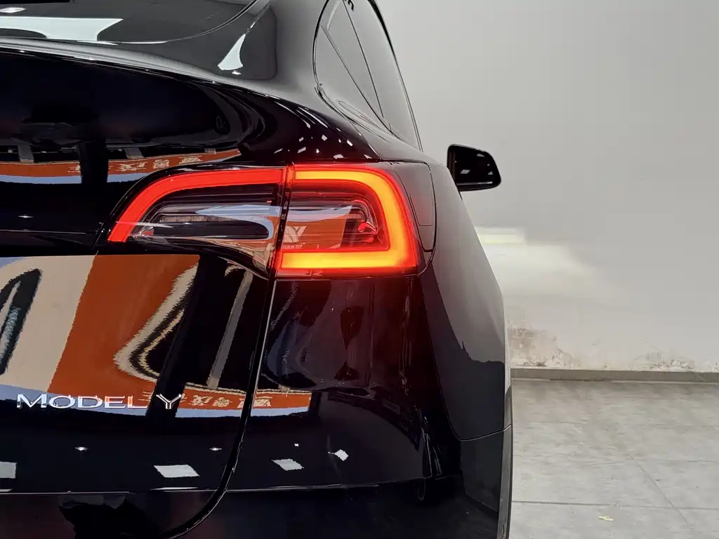 Tesla Model Y — фото 19