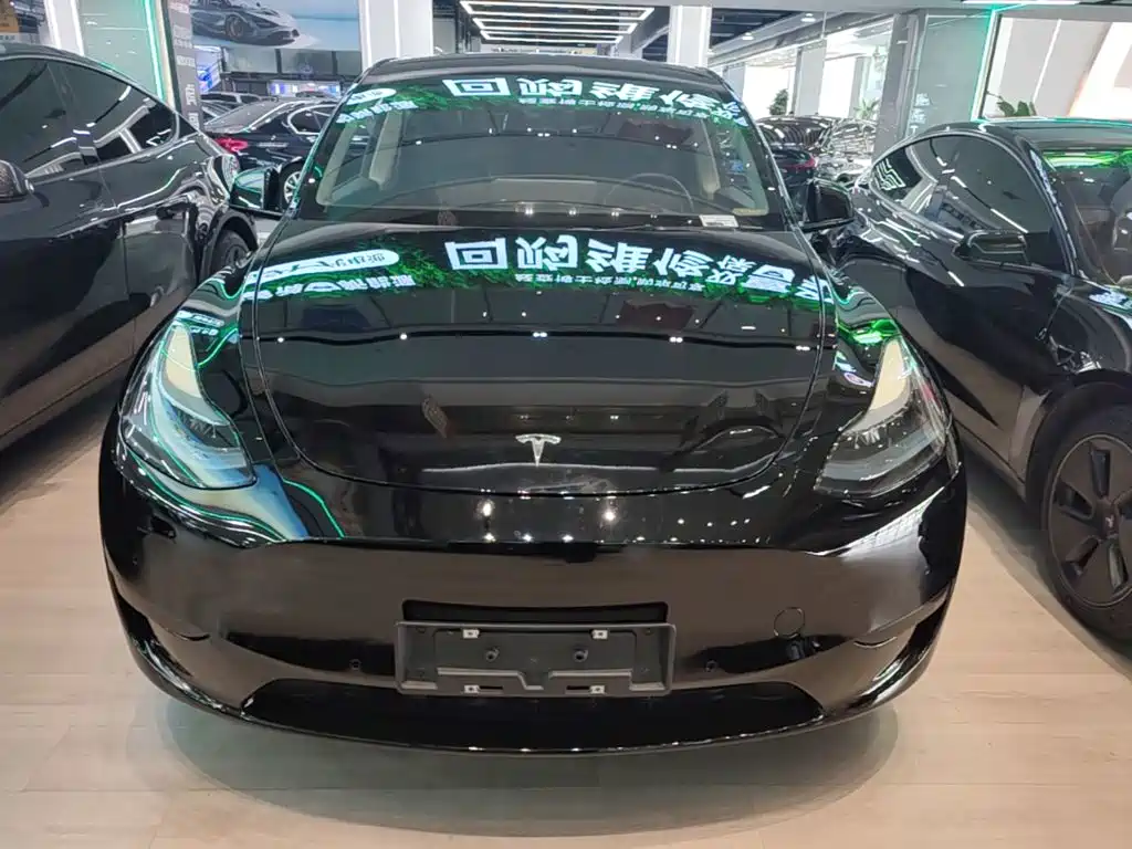 Tesla Model Y — фото 3