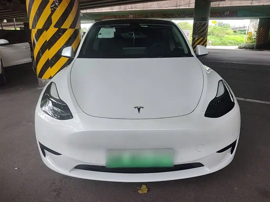 Tesla Model Y — фото 3