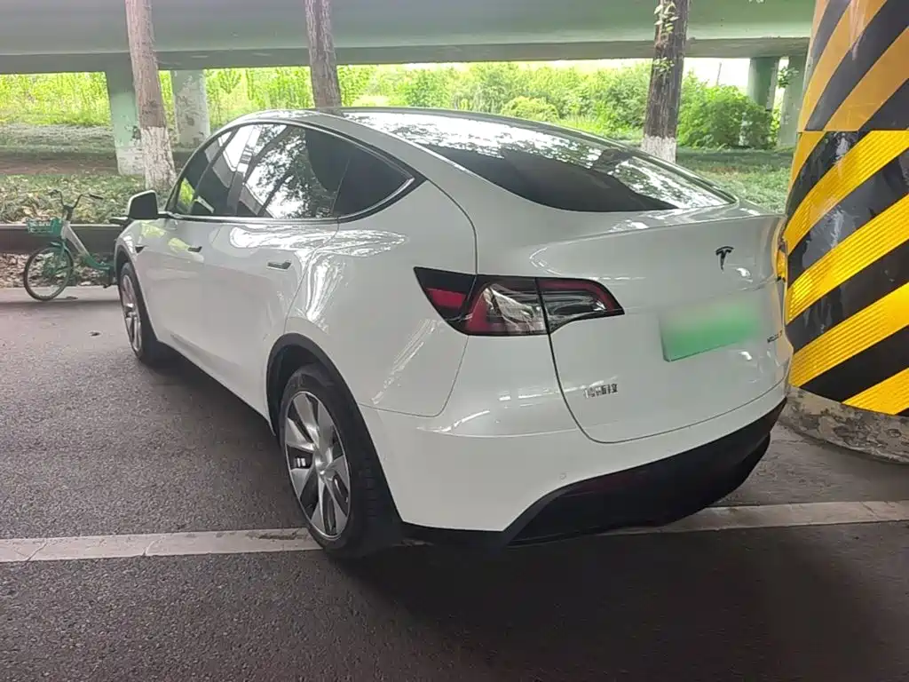 Tesla Model Y — фото 5