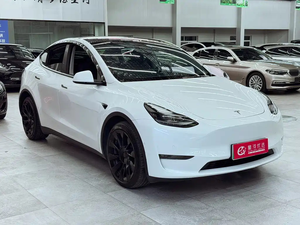 Tesla Model Y — фото 3