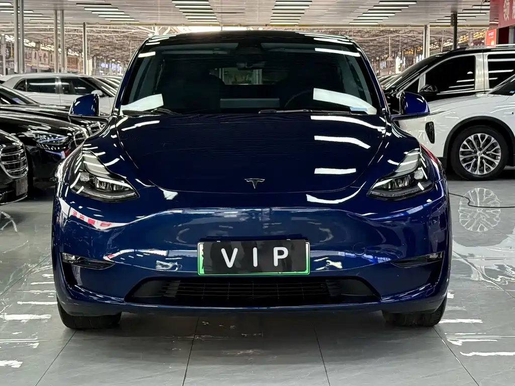 Tesla Model Y — фото 2
