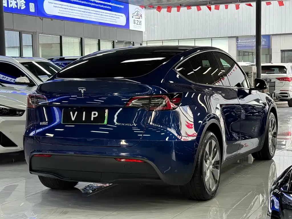 Tesla Model Y — фото 11
