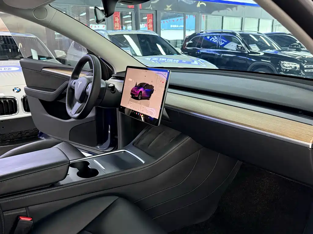 Tesla Model Y — фото 10