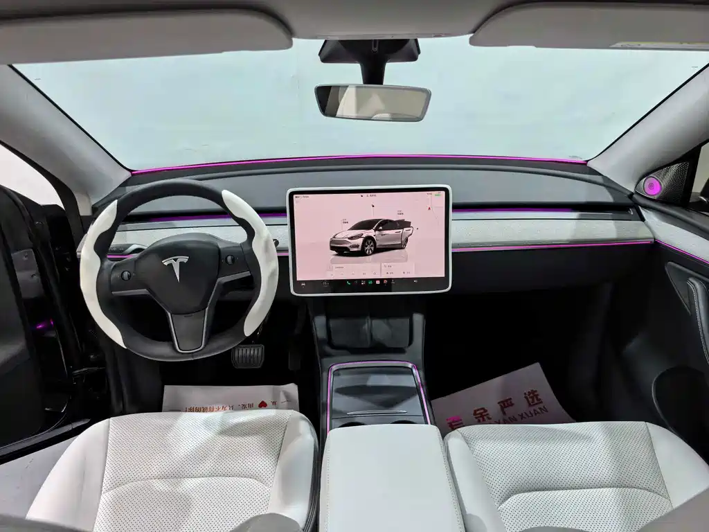 Tesla Model Y — фото 6