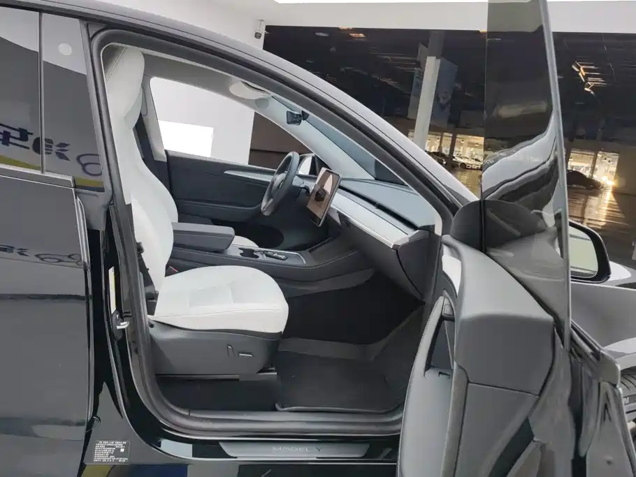 Tesla Model Y — фото 8