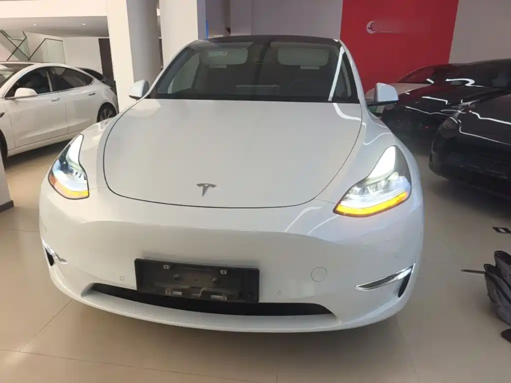 Tesla Model Y — фото 3