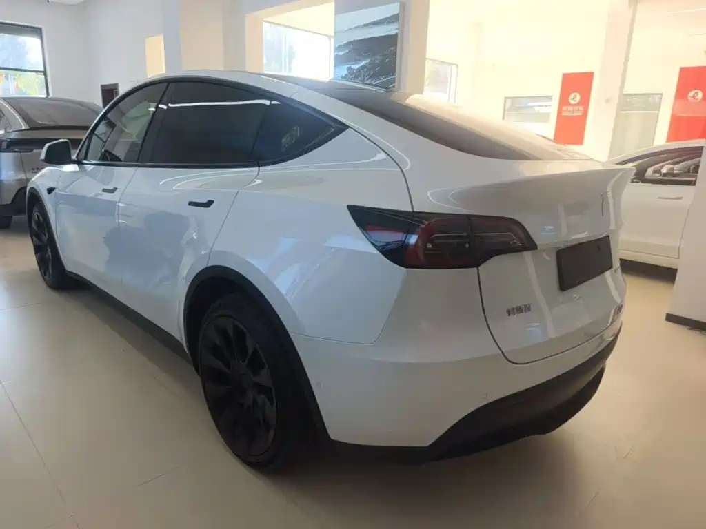 Tesla Model Y — фото 5