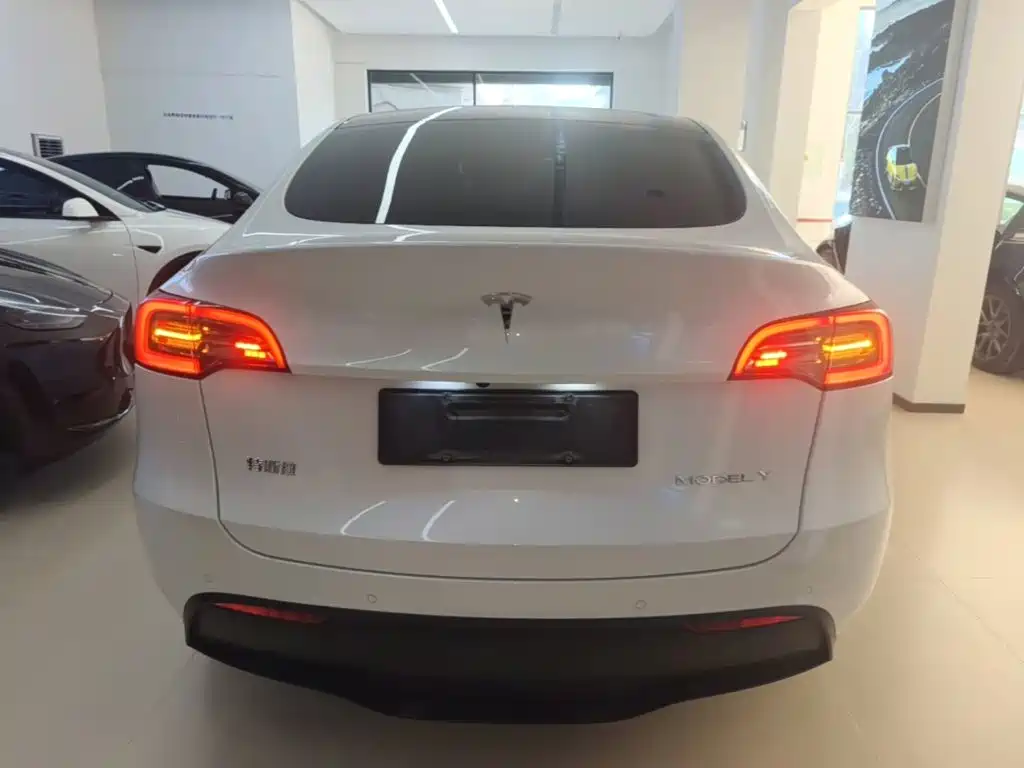 Tesla Model Y — фото 6