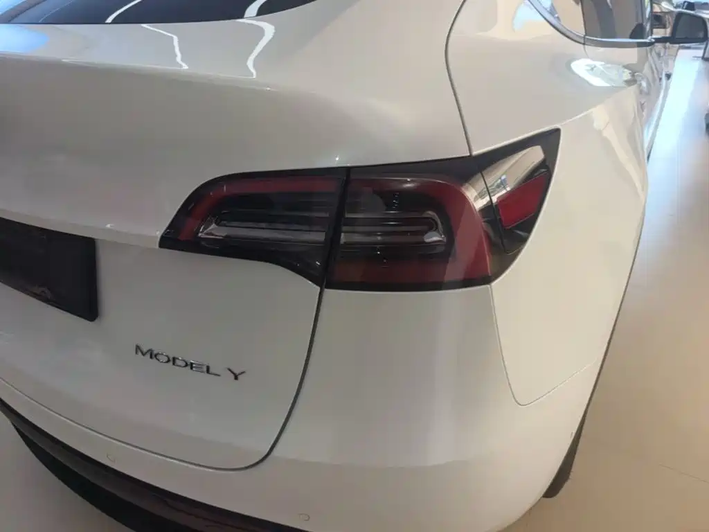 Tesla Model Y — фото 8