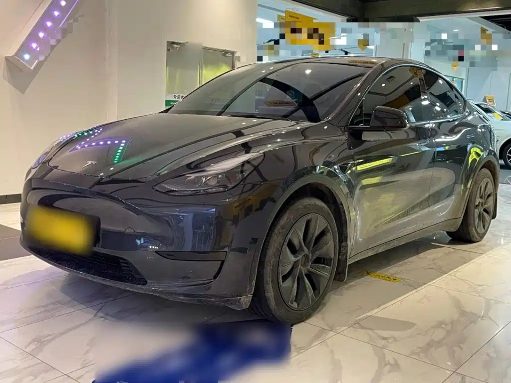 Tesla Model Y — фото 2