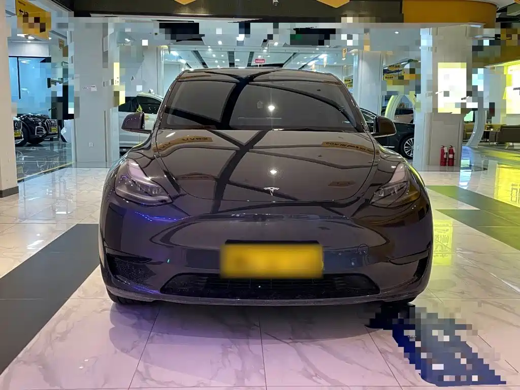 Tesla Model Y — фото 3