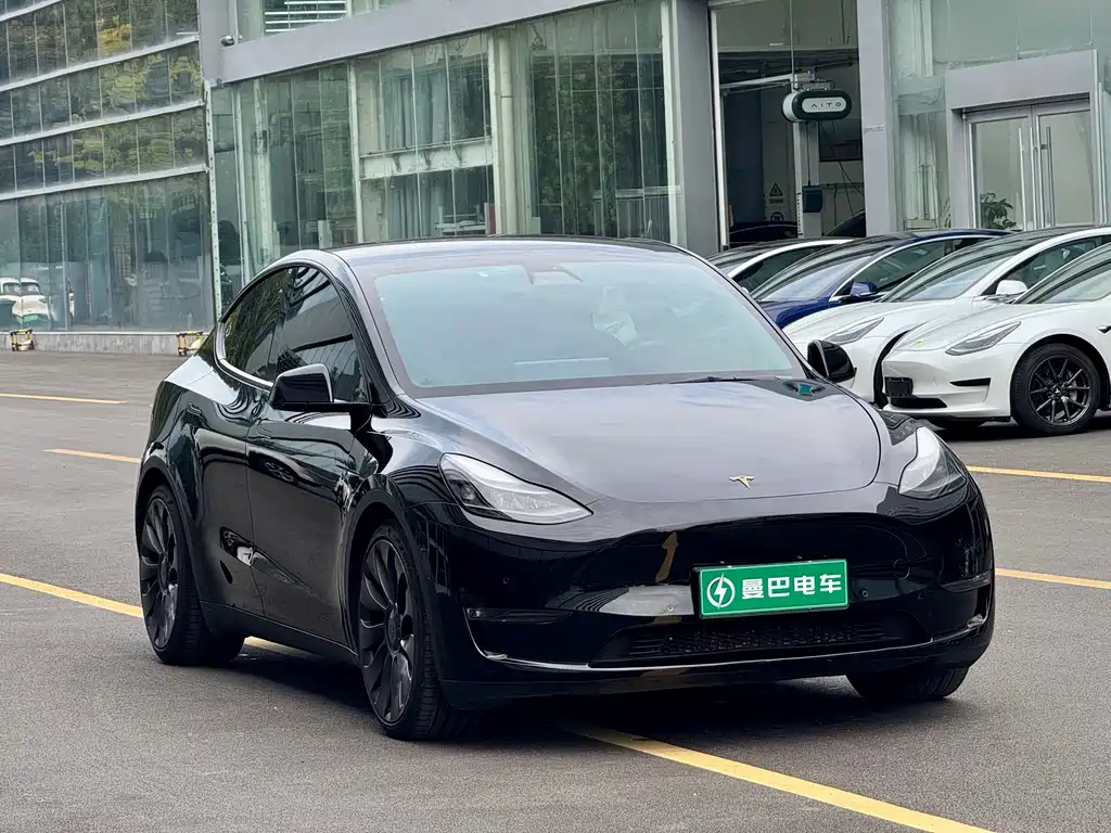 Tesla Model Y — фото 3